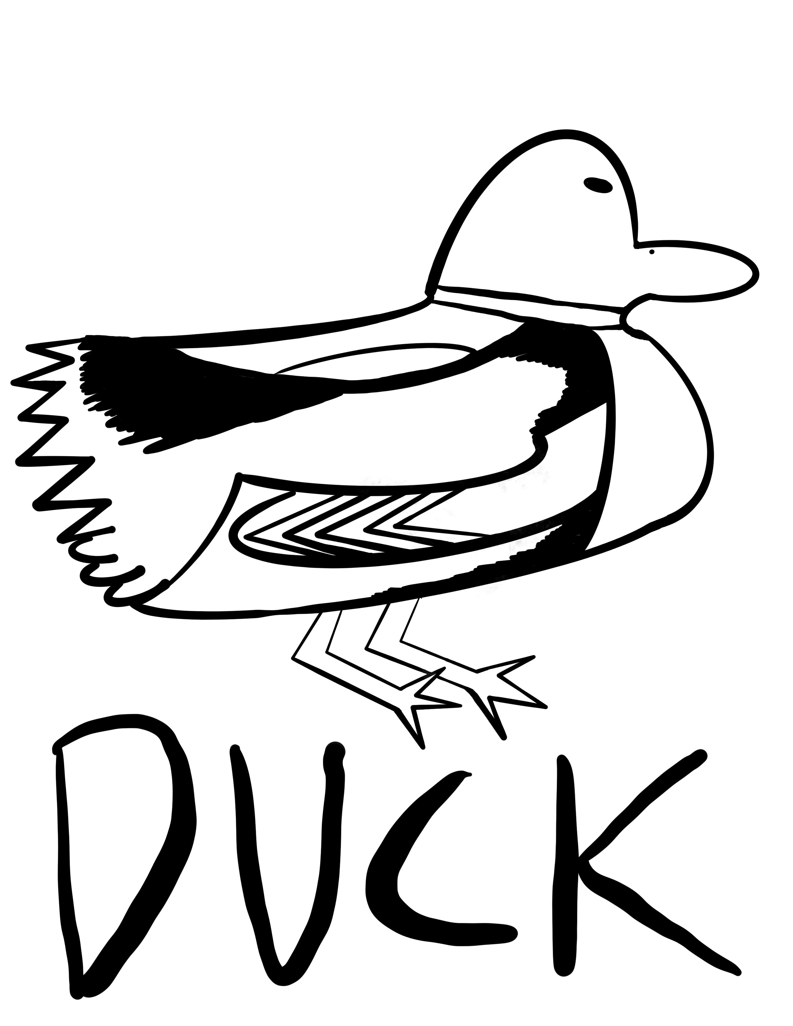 DuckSkateboards